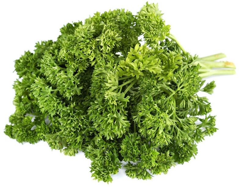 Riccio Parsley dans la lutte contre la prostatite chronique
