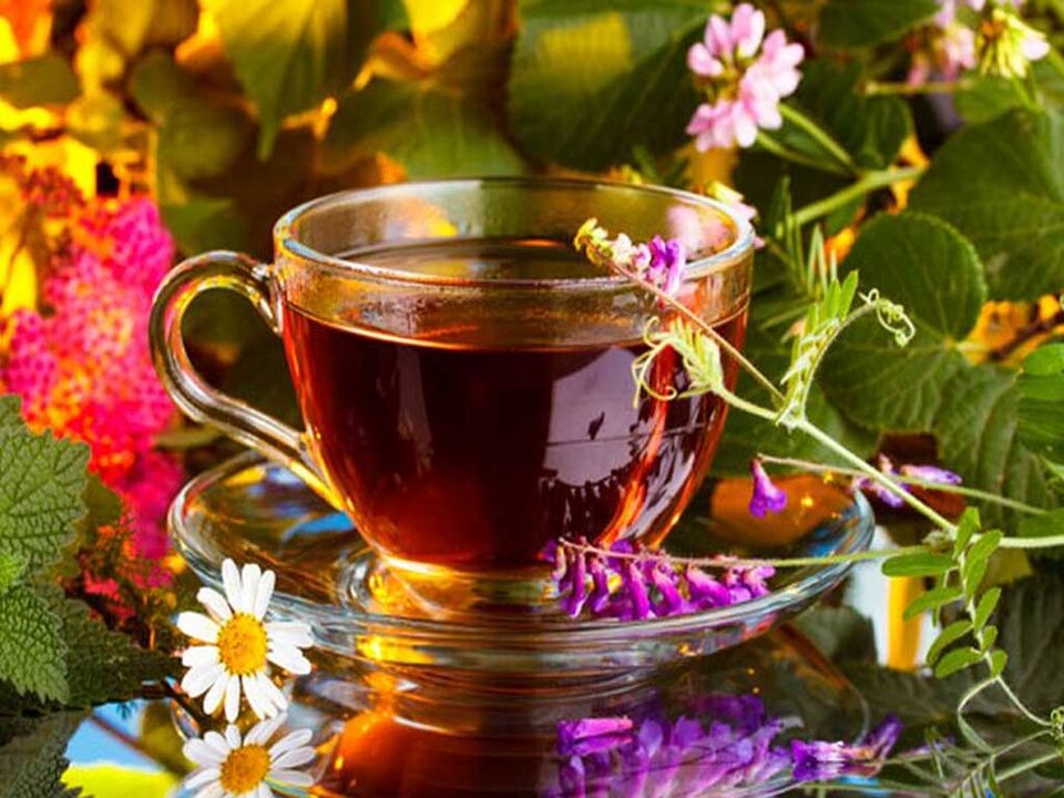 infusions et décoctions